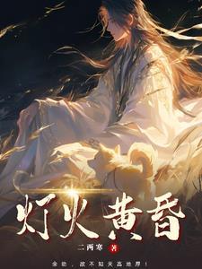 灯火黄昏剧情介绍大结局