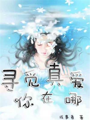 歌曲寻找真爱