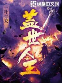盖世王婿目录