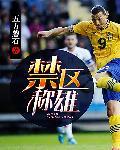 禁区之雄陈英雄