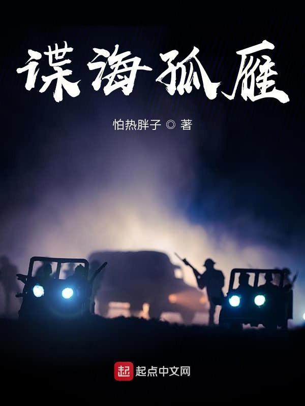 谍海孤雁百度百科